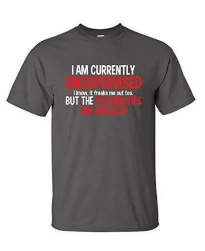 I Am Currently Unsupervised Funny T Shirt 5fadcf812b77f7616f4c0693