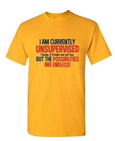 I Am Currently Unsupervised Funny T Shirt 5fadcf812b77f7616f4c0694
